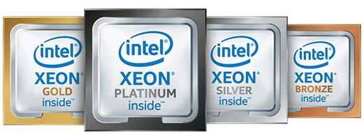 Intel family of processors